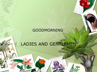 GOODMORNING
LADIES AND GENTLEMEN
 