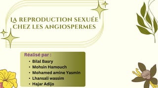 La reproduction sexuée
chez les angiospermes
Réalisé par :
• Bilal Basry
• Mohsin Hamouch
• Mohamed amine Yasmin
• Lhansali wassim
• Hajar Adijo
 