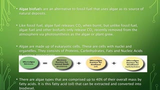 Green algae as a biofuel | PPTX