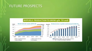 Green algae as a biofuel | PPTX