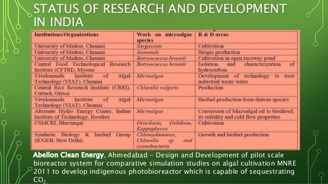 Green algae as a biofuel