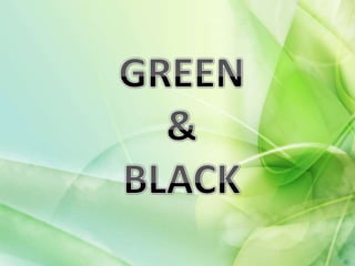Green & Black 28 11-2013