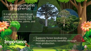 Endemic Organisms in the Philippines: Their Ecological, Economic, and ...