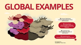 GLOBALEXAMPLES
🌍 Amazon Rainforest
Largest tropical forest, heavy
deforestation.
🌍 Congo Basin
Second largest rainforest,
facing logging and farming
pressure.
🌍 Southeast Asia
Deforestation for palm oil
plantations.
🌍 Central America
Clearing forests for cattle and crops.
It’s happening
everywhere—even here.
 