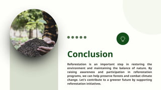 Restoring the Forest: The Vital Role of Reforestation in Environmental ...
