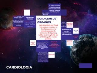 ORGANOS Y
TEJIDOS.
asignacion de
manera
equitativa sin
discriminacion
SE PUEDE SIEMPRE
Y CUANDO CUMPLA
CON LA NORMATIVA,
EJEMPLO: EL RIÑON
A UN FAMILIAR
Fallecimiento en situación de
muerte encefálica o por
paro cardiorrespiratorio y
luego de solicitar
consentimiento para la
donación de sus órganos a su
familia.
muerte por
criterios
neurológicos.
VIABILIDAD DE LOS
ORGANOS.
Tejidos: corneas, piel,
huesos, médula
ósea, vasos
sanguíneos, válvulas
cardiacas, cartílagos,
tendones, esclera,
membrana
amniótica.
DONACION DE
ORGANOS.
DONACION
EN VIDA
TODOS
PODEMOS
SER
DONANTES
PRESUNCIO
N LEGAL DE
ORGANOS
LEY 73 DE
1988
informacion
del donante
o receptor es
confidencial
LEY 919 DE
2004
CONDICIONES
MOMENTO
DE
DONACION
CARDIOLOGIA
Agregar textoAActo voluntario por el cual
una persona en vida o su
familia después de la
muerte autorizan la
extracción de órganos y
tejidos para trasplante, con
el fin de ayudar a otras
personas.
Órganos: corazón,
pulmones, hígado,
riñones, Iintestino,
páncreas.
Solo son extraídos los
órganos y tejidos que la
familia haya indicado en
el formulario de
aceptación y aquellos que
sean aptos para trasplante
luego de verificar su
función con los diferentes
exámenes que se realizan..
 