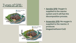 Spb Process Biological waste management or treatment .pdf