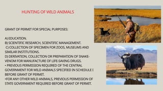 GRANT OF PERMIT FOR SPECIAL PURPOSES:
A) EDUCATION.
B) SCIENTIFIC RESEARCH, SCIENTIFIC MANAGEMENT.
C) COLLECTION OF SPECIMEN FOR ZOOS, MUSEUMS AND
SIMILAR INSTITUTIONS.
D) DERIVATION, COLLECTION OR PREPARATION OF SNAKE-
VENOM FOR MANUFACTURE OF LIFE-SAVING DRUGS.
• PREVIOUS PERMISSION REQUIRED OF THE CENTRAL
GOVERNMENT FOR WILD ANIMALS SPECIFIED IN SCHEDULE I
BEFORE GRANT OF PERMIT.
•FOR ANY OTHER WILD ANIMALS, PREVIOUS PERMISSION OF
STATE GOVERNMENT REQUIRED BEFORE GRANT OF PERMIT.
HUNTING OF WILD ANIMALS
 