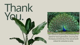 Thank
You.
Let's commit to preserving and protecting our
planet for future generations, ensuring that
the beauty and diversity of the natural world
endure for centuries to come.
 