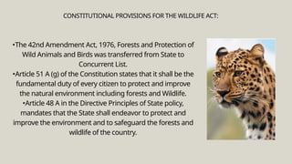 •The 42nd Amendment Act, 1976, Forests and Protection of
Wild Animals and Birds was transferred from State to
Concurrent List.
•Article 51 A (g) of the Constitution states that it shall be the
fundamental duty of every citizen to protect and improve
the natural environment including forests and Wildlife.
•Article 48 A in the Directive Principles of State policy,
mandates that the State shall endeavor to protect and
improve the environment and to safeguard the forests and
wildlife of the country.
CONSTITUTIONAL PROVISIONS FOR THE WILDLIFE ACT:
 