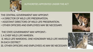 AUTHORITIES APPOINTED UNDER THE ACT
THE CENTRAL GOVERNMENT MAY APPOINT:
• A DIRECTOR OF WILD LIFE PRESERVATION.
• ASSISTANT DIRECTORS OF WILD LIFE PRESERVATION.
• OTHER OFFICERS AND EMPLOYEES MAY BE NECESSARY.
THE STATE GOVERNMENT MAY APPOINT:-
I. A CHIEF WILD LIFE WARDEN.
II. WILD LIFE WARDENS. ONE HONORARY WILD LIFE WARDEN
IN EACH DISTRICT
III. OTHER OFFICERS AND EMPLOYEES AS MAY BE NECESSARY
 