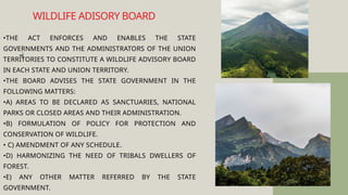 •THE ACT ENFORCES AND ENABLES THE STATE
GOVERNMENTS AND THE ADMINISTRATORS OF THE UNION
TERRITORIES TO CONSTITUTE A WILDLIFE ADVISORY BOARD
IN EACH STATE AND UNION TERRITORY.
•THE BOARD ADVISES THE STATE GOVERNMENT IN THE
FOLLOWING MATTERS:
•A) AREAS TO BE DECLARED AS SANCTUARIES, NATIONAL
PARKS OR CLOSED AREAS AND THEIR ADMINISTRATION.
•B) FORMULATION OF POLICY FOR PROTECTION AND
CONSERVATION OF WILDLIFE.
• C) AMENDMENT OF ANY SCHEDULE.
•D) HARMONIZING THE NEED OF TRIBALS DWELLERS OF
FOREST.
•E) ANY OTHER MATTER REFERRED BY THE STATE
GOVERNMENT.
WILDLIFE ADISORY BOARD
 