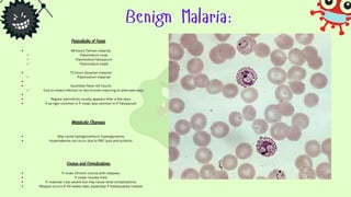 Malaria parasitology describing all mechanism | PDF