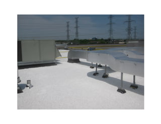 Green and reflective roof