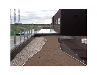Green and reflective roof