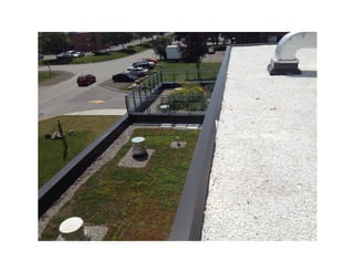Green and reflective roof