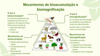 Bioacumulação, Toxicidade e Propiedades Orgânicas. | PDF