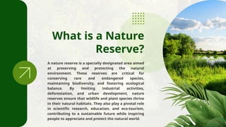 Green and White Modern Nature Reserve Presentation.pptx