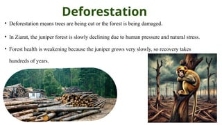 Green and Yellow Geometric Deforestation Presentation.pptx