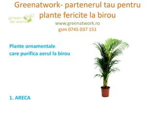 Greenatwork- partenerul tau pentru
        plante fericite la birou
                     www.greenatwork.ro
                      gsm 0745 037 151


Plante ornamentale
care purifica aerul la birou




1. ARECA
 