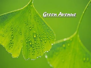 Green Avenue
 
