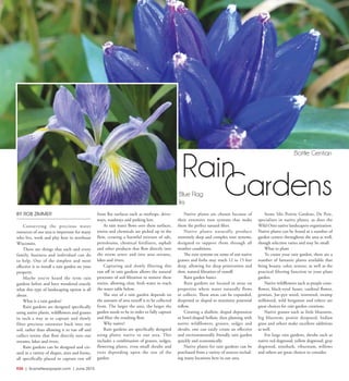 R30  |  SceneNewspaper.com  | June 2015
BY ROB ZIMMER
Conserving the precious water
resources of our area is important for many
who live, work and play here in northeast
Wisconsin.
There are things that each and every
family, business and individual can do
to help. One of the simplest and most
effective is to install a rain garden on your
property.
Maybe you’ve heard the term rain
gardens before and have wondered exactly
what this type of landscaping option is all
about.
What is a rain garden?
Rain gardens are designed specifically
using native plants, wildflowers and grasses
in such a way as to capture and slowly
filter precious rainwater back into our
soil, rather than allowing it to run off and
collect toxins that flow directly into our
streams, lakes and rivers.
Rain gardens can be designed and cre-
ated in a variety of shapes, sizes and forms,
all specifically placed to capture run off
from flat surfaces such as rooftops, drive-
ways, roadways and parking lots.
As rain water flows over these surfaces,
toxins and chemicals are picked up in the
flow, creating a harmful mixture of salt,
petroleums, chemical fertilizers, asphalt
and other products that flow directly into
the storm sewer and into area streams,
lakes and rivers.
Capturing and slowly filtering this
run off in rain gardens allows the natural
processes of soil filtration to remove these
toxins, allowing clear, fresh water to reach
the water table below.
The size of a rain garden depends on
the amount of area runoff is to be collected
from. The larger the area, the larger the
garden needs to be in order to fully capture
and filter the resulting flow.
Why native?
Rain gardens are specifically designed
using plants native to our area. This
includes a combination of grasses, sedges,
flowering plants, even small shrubs and
trees depending upon the size of the
garden.
Native plants are chosen because of
their extensive root systems that make
them the perfect natural filter.
Native plants naturally produce
extremely deep and complex root systems,
designed to support them through all
weather conditions.
The root systems on some of our native
grasses and forbs may reach 12 to 15 feet
deep, allowing for deep penetration and
slow, natural filtration of runoff.
Rain garden basics
Rain gardens are located in areas on
properties where water naturally flows
or collects. These areas can be expanded,
deepened or sloped to maximize potential
inflow.
Creating a shallow, sloped depression
or bowl-shaped hollow, then planting with
native wildflowers, grasses, sedges and
shrubs, one can easily create an effective
and environmentally friendly rain garden
quickly and economically.
Native plants for rain gardens can be
purchased from a variety of sources includ-
ing many locations here in our area.
Stone Silo Prairie Gardens, De Pere,
specializes in native plants, as does the
Wild Ones native landscapers organization.
Native plants can be found at a number of
garden centers throughout the area as well,
though selection varies and may be small.
What to plant
To create your rain garden, there are a
number of fantastic plants available that
bring beauty, color, texture, as well as the
practical filtering function to your plant
garden.
Native wildflowers such as purple cone-
flower, black-eyed Susan, cardinal flower,
gentian, Joe-pye weed, ironweed, swamp
milkweed, wild bergamot and others are
great choices for rain garden creations.
Native grasses such as little bluestem,
big bluestem, prairie dropseed, Indian
grass and others make excellent additions
as well.
For large rain gardens, shrubs such as
native red dogwood, yellow dogwood, gray
dogwood, ninebark, viburnum, willows
and others are great choices to consider.
Rain
Gardens
Bottle Gentian
Blue Flag
Iris
 