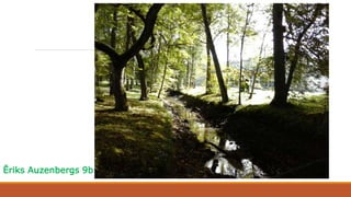 Ēriks Auzenbergs 9b
 