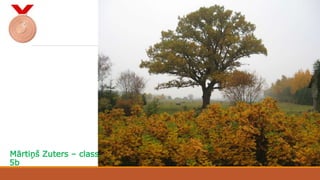 Mārtiņš Zuters – class
5b
 