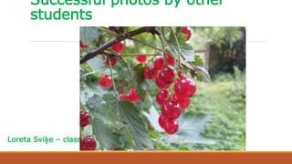 Successful photos by other
students
Loreta Sviķe – class 9b
 