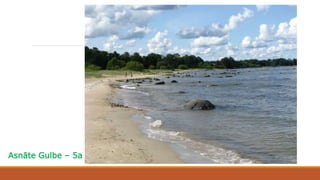 Asnāte Gulbe – 5a
 