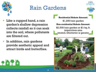 Rain Gardens
 Like a cupped hand, a rain
garden’s shallow depression
collects rainfall so it can soak
into the soil, where pollutants
are filtered out.
 In addition, rain gardens
provide aesthetic appeal and
attract birds and butterflies.
15
Residential Rebate Amount:
$1,200/rain garden
Non-residential Rebate Amount:
$2,500/rain garden or $1/sq. ft.
impervious area
treated, whichever is greater
 
