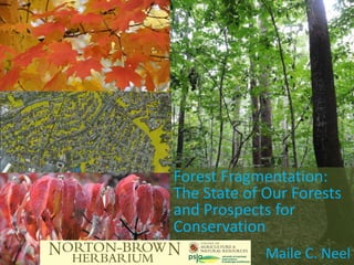 Forest Fragmentation:
The State of Our Forests
and Prospects for
Conservation
             Maile C. Neel
 