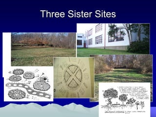 Three Sister Sites
 