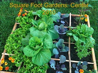 Square Foot Gardens: Center
           2010
 