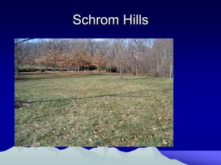 Schrom Hills
 