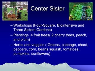 Center Sister

– Workshops (Four-Square, Biointensive and
  Three Sisters Gardens)
– Plantings 4 fruit trees( 2 cherry trees, peach,
  and plum)
– Herbs and veggies ( Greens, cabbage, chard,
  peppers, corn, beans squash, tomatoes,
  pumpkins, sunflowers)
 