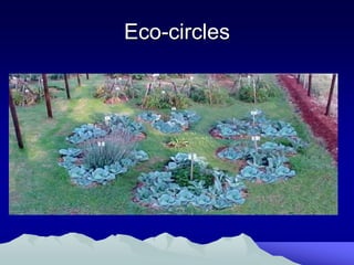 Eco-circles
 