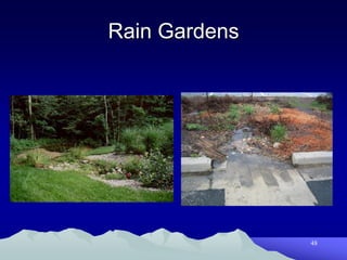 Rain Gardens




               48
 