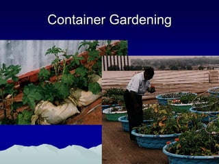 Container Gardening
 