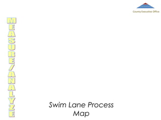 County Executive Office

Swim Lane Process
Map

 