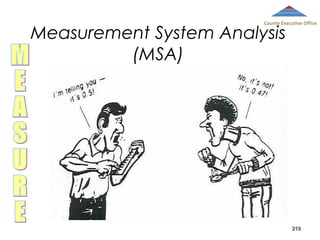 County Executive Office

Measurement System Analysis
(MSA)

219

 