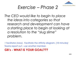 Exercise – Phase 2

County Executive Office

The CEO would like to begin to place
the ideas into categories so that
research and development can have
a starting place to begin at looking at
a resolution to the “slug slime”
problem.
1 facilitator (new). Facilitate the Affinity diagram. (10 minutes)
Teams report out – use another member.

GB’s - WHAT IS YOUR GOAL???
423

 