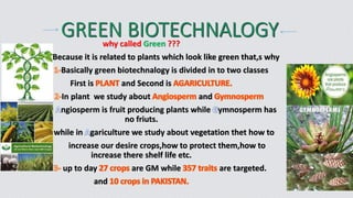 why called Green ???
Because it is related to plants which look like green that,s why
Basically green biotechnalogy is divided in to two classes
First is and Second is
In plant we study about and
ngiosperm is fruit producing plants while ymnosperm has
no friuts.
while in gariculture we study about vegetation thet how to
increase our desire crops,how to protect them,how to
increase there shelf life etc.
up to day are GM while are targeted.
and
 