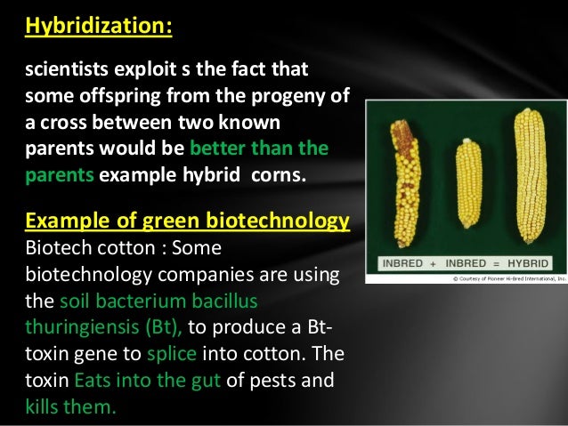 green biotechnology