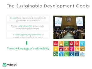 Chief Sustainability Officers for SDGs 2022 - WBCSD virtual meeting