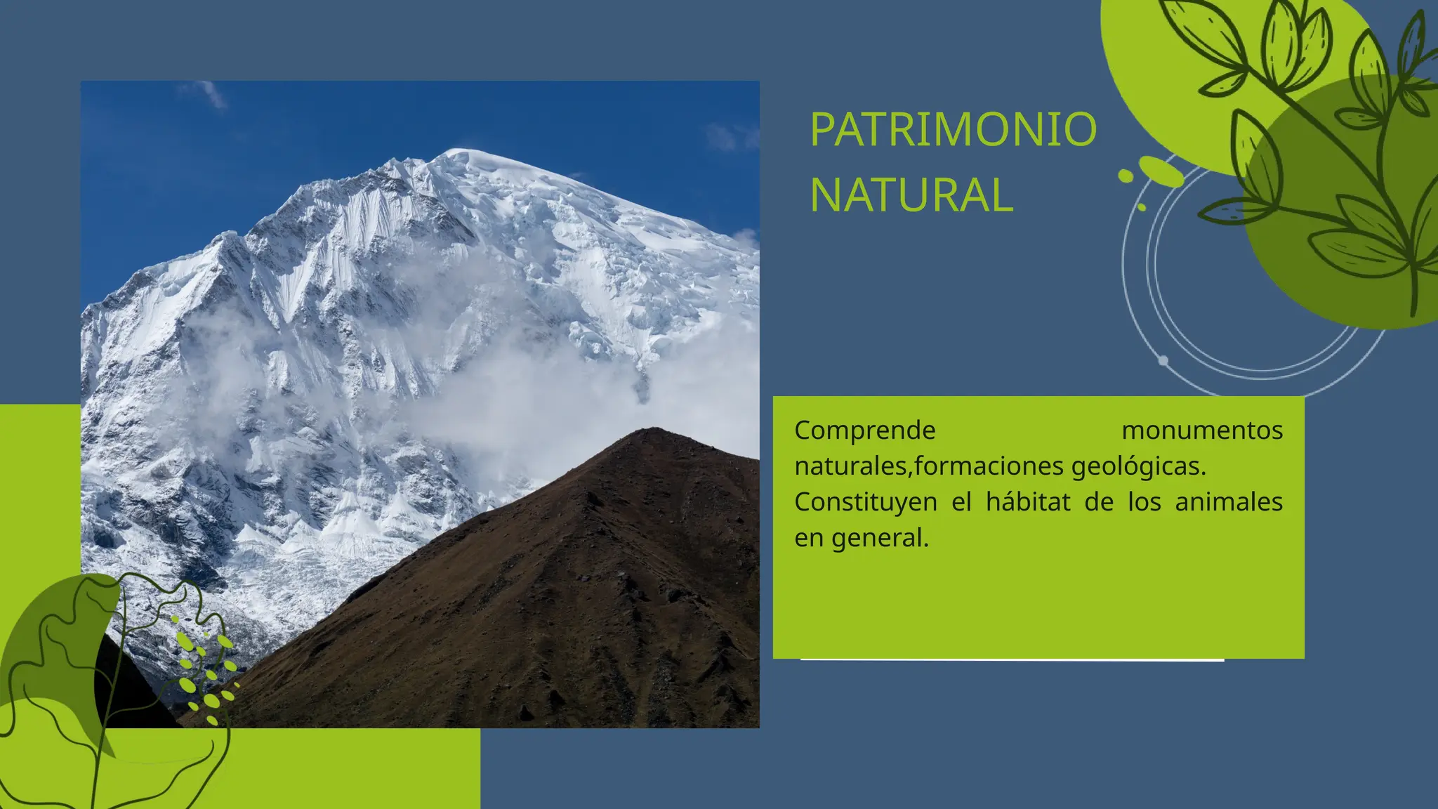 Green Black Creative Ecology Presentation .pptx