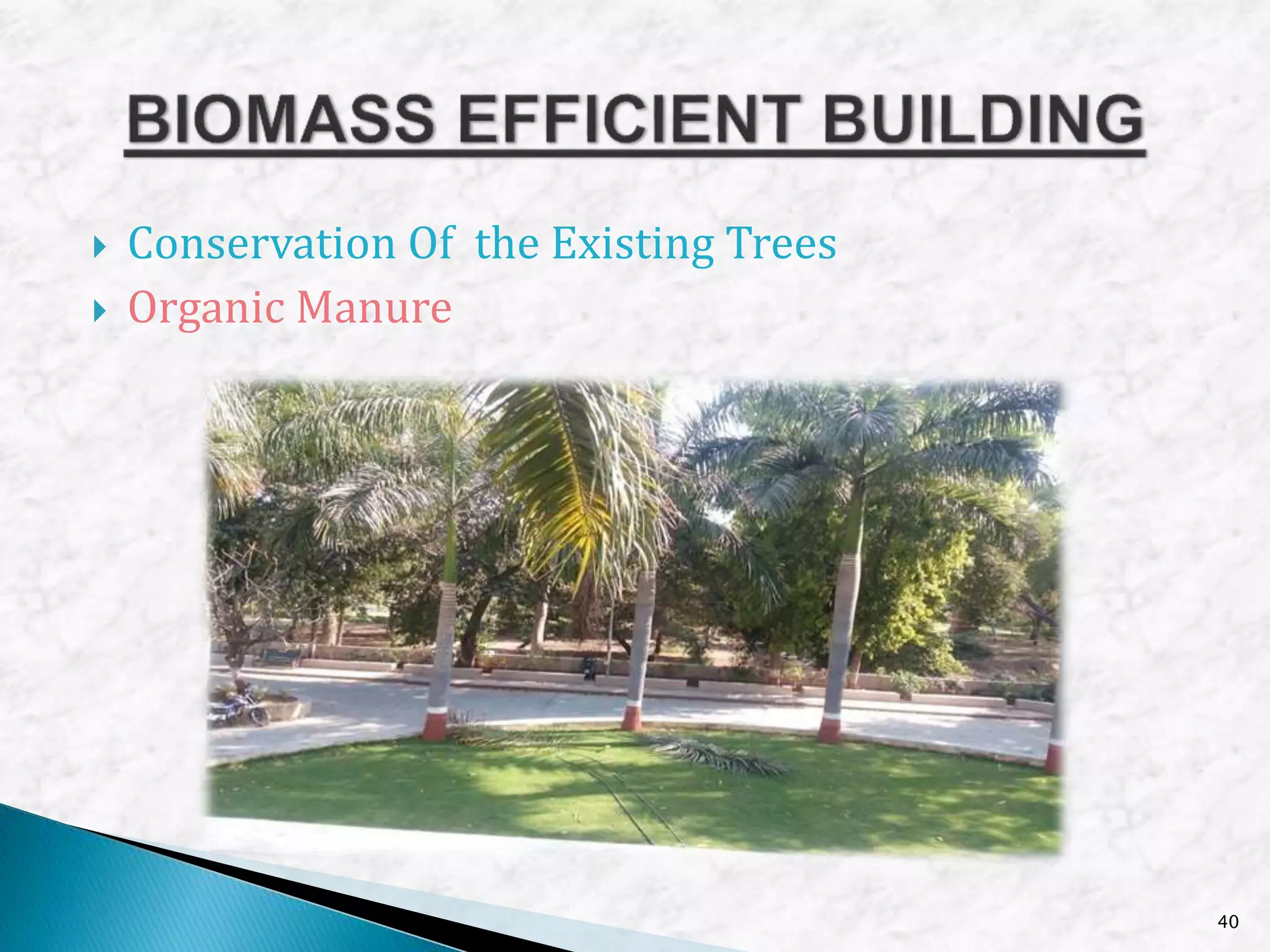  Conservation Of the Existing Trees
 Organic Manure
40
 