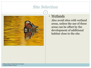 Site Selection
 Wetlands
 Also avoid sites with wetland
areas, unless the use of these
areas can be offset by the
development of additional
habitat close to the site.
Photo courtesy of Frank Vassen through a
Creative Commons License
8
 