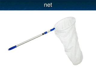 net