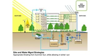 Site and Water Mgmt Strategies
Appropriate Shading from Summer Sun, while allowing in winter sun
 